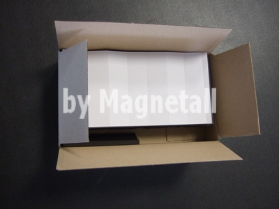 Etichetta magnetica tipo C complete di cartoncino e PVC