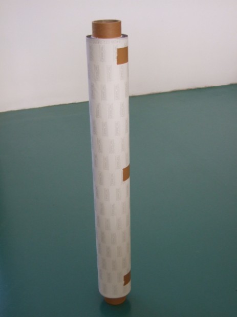 Foglio magnetico con PVC bianco o colorato
