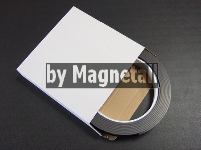 Nastro magnetico tipo C completo di cartoncino e PVC