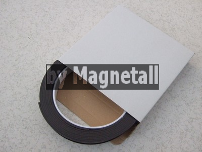 Nastro magnetico tipo C completo di cartoncino e PVC