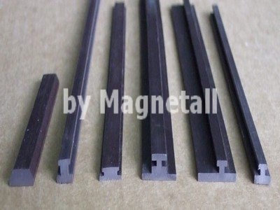 Profilo magnetico su esigenza del cliente