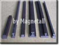 Magnetic profiles for magnetic closures 